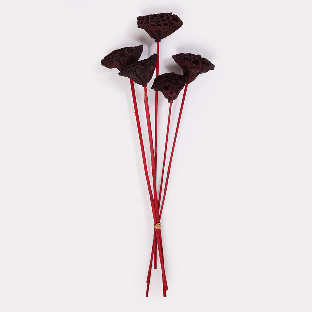 Dried Lotus Pod Stems Red Set of 5 | Unique Floral Decoration | Dry Flower Products for Home Decor